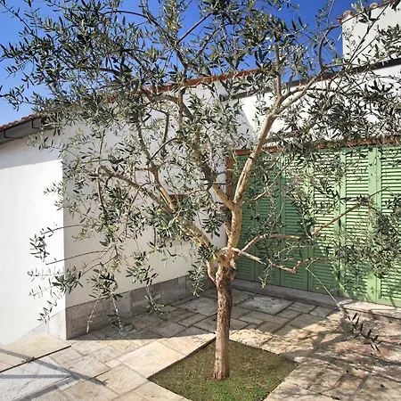 Spacious In Parecag With A Swimming Pool * Secovlje