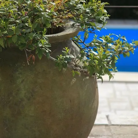 3 Bedroom In Parecag With A Swimming Pool Villa Sečovlje