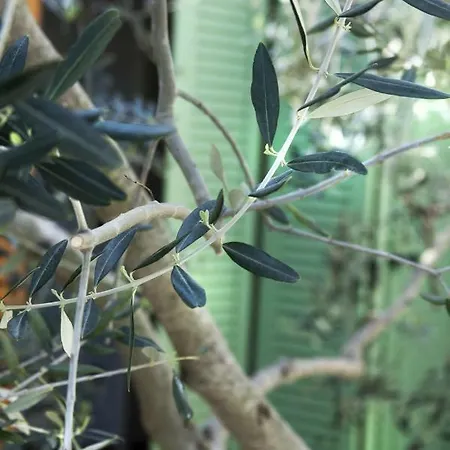 3 Bedroom In Parecag With A Swimming Pool Secovlje