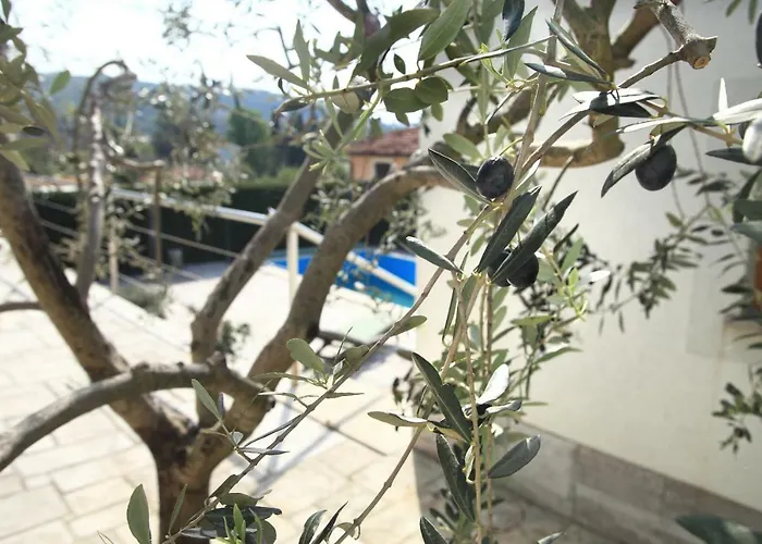 3 Bedroom In Parecag With A Swimming Pool *