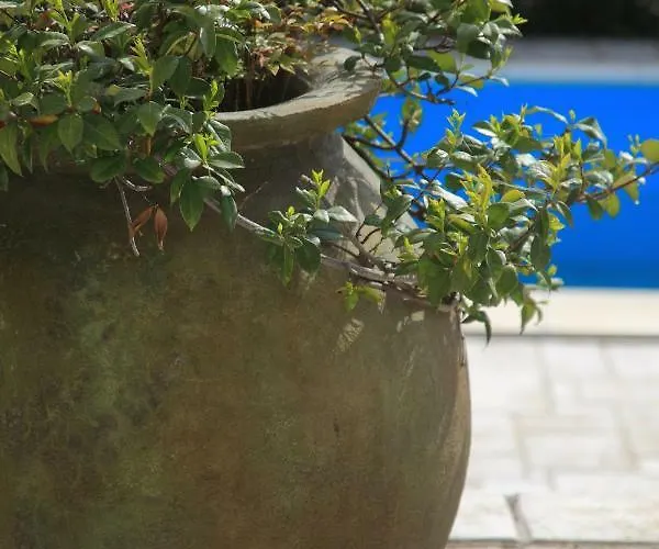 3 Bedroom In Parecag With A Swimming Pool Villa Sečovlje